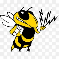 �۷� ��ͨ ��ɫ-������