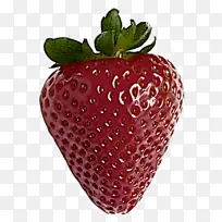 �ɹ���Ʒ��ȻʳƷ ��ݮ ˮ��-������