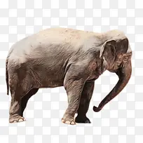 水彩画 颜料 湿墨水-空若网 水彩画 颜料 湿墨水-空若网