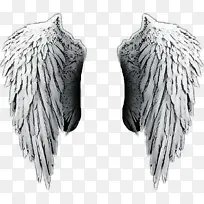 ��� ��ë ����-������