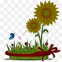 �� �� ֲ��-������