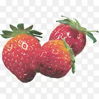 �ɹ���Ʒ��ݮ ��ȻʳƷ ��ݮ-������