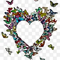 心 爱-空若网 心 爱-空若网