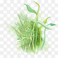 水彩画 颜料 湿墨-空若网 水彩画 颜料 湿墨-空若网