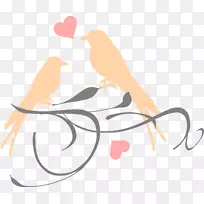 爱情鸟婚礼邀请函剪贴画-桃枝-空若网 爱情鸟婚礼邀请函剪贴画-桃枝-空若网