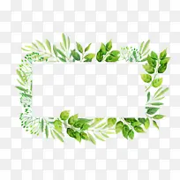 ֲ�� Ҷ�� ��-������