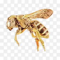 ���� �۷� Ĥ������-������