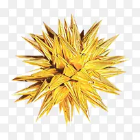 »ÆÉ« Ö²Îï ²Ý-¿ÕÈôÍø »ÆÉ« Ö²Îï ²Ý-¿ÕÈôÍø