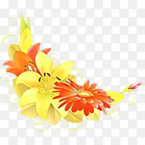 花朵 黄色 橙色-空若网 花朵 黄色 橙色-空若网