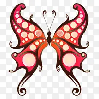 蝴蝶 昆虫 飞蛾和蝴蝶-空若网 蝴蝶 昆虫 飞蛾和蝴蝶-空若网