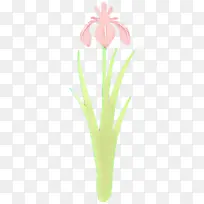 花 植物 草-空若网 花 植物 草-空若网