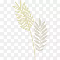 叶-叶-空若网 叶-叶-空若网