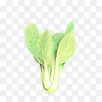 绿色 叶子 植物-空若网 绿色 叶子 植物-空若网