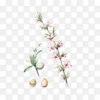 花 植物 树枝-空若网 花 植物 树枝-空若网