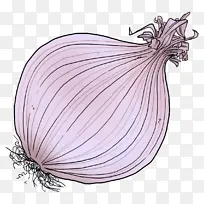 �� ��� �߲�-������