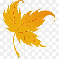 叶子 橙色 黄色-空若网 叶子 橙色 黄色-空若网