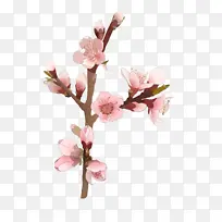 �� ���� ��ɫ-������