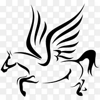 白色 翅膀 头部-空若网 白色 翅膀 头部-空若网