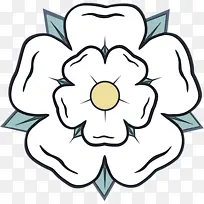 ��ɫ ���� ����-������