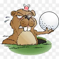 土拨鼠日 土拨鼠日快乐 土拨鼠-空若网 土拨鼠日 土拨鼠日快乐 土拨鼠-空若网