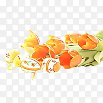 橙色 黄色 食物-空若网 橙色 黄色 食物-空若网