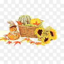 鸟 黄色 喙-空若网 鸟 黄色 喙-空若网