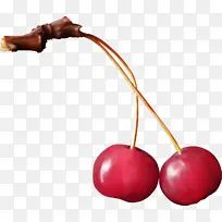 樱桃 植物 水果-空若网 樱桃 植物 水果-空若网