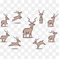 驯鹿 鹿 野生动物-空若网 驯鹿 鹿 野生动物-空若网