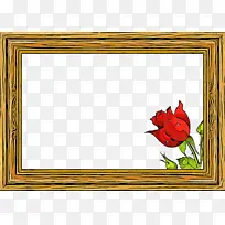 ��� ��ɫ ������-������