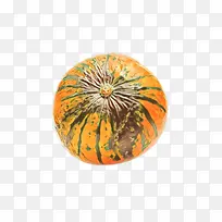 橙色 陶瓷 植物-空若网 橙色 陶瓷 植物-空若网