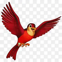 鸟 喙 翅膀-空若网 鸟 喙 翅膀-空若网