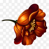 橙色 红色 花瓣-空若网 橙色 红色 花瓣-空若网