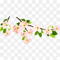 花 粉色 树枝-空若网 花 粉色 树枝-空若网