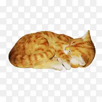 ʳ�� è С¹-������