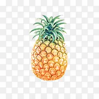 菠萝 水果 植物-空若网 菠萝 水果 植物-空若网