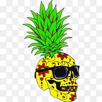 菠萝 植物 水果-空若网 菠萝 植物 水果-空若网