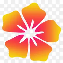 花瓣 黄色 橙色-空若网 花瓣 黄色 橙色-空若网