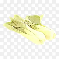 Êß²Ë Ò¶²Ë ʳƷ-¿ÕÈôÍø Êß²Ë Ò¶²Ë ʳƷ-¿ÕÈôÍø