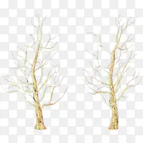 Ê÷Ö¦ °×É« Ê÷ľ-¿ÕÈôÍø Ê÷Ö¦ °×É« Ê÷ľ-¿ÕÈôÍø