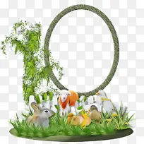 草 动物形象 兔子和野兔-空若网 草 动物形象 兔子和野兔-空若网