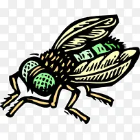 ���� ��Ӭ Ĥ������-������