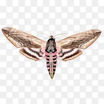 ���� �ɶ� �ɶ�ͺ���-������