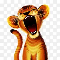 野生动物 咆哮 鼻子-空若网 野生动物 咆哮 鼻子-空若网