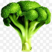 西兰花 蔬菜 叶菜-空若网 西兰花 蔬菜 叶菜-空若网