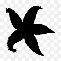 鸟 黑白 符号-空若网 鸟 黑白 符号-空若网