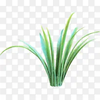 草 绿色 植物-空若网 草 绿色 植物-空若网