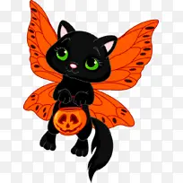 橙色 卡通 蝴蝶-空若网 橙色 卡通 蝴蝶-空若网