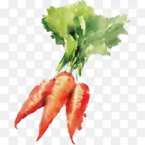 ʳƷ Ҷ �߲�-������