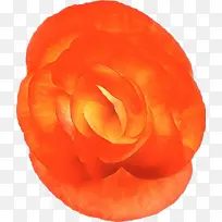 ��ɫ ���� ��ɫ-������