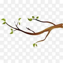 ��֦ Ҷ�� ֲ��-������